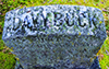 davy buck grave marker